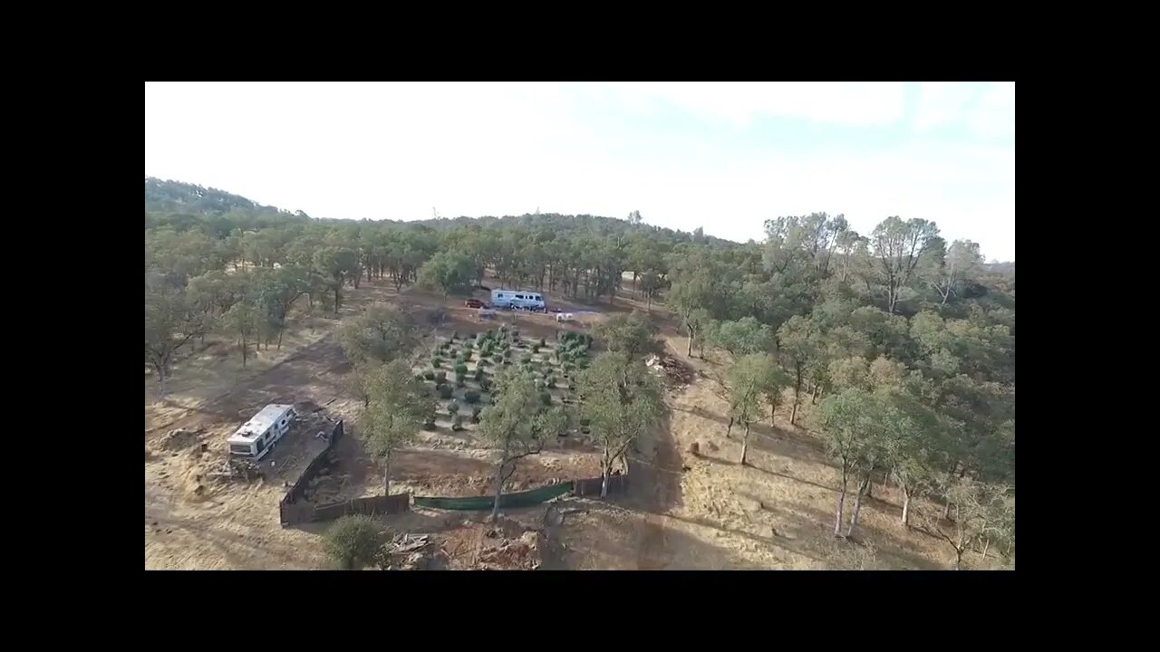 Drone Shot Cannabis Farm