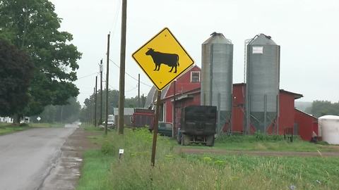 Farmers in crisis as suicide risk increases