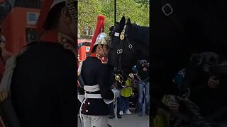 kings guard kisses horse #horseguardsparade