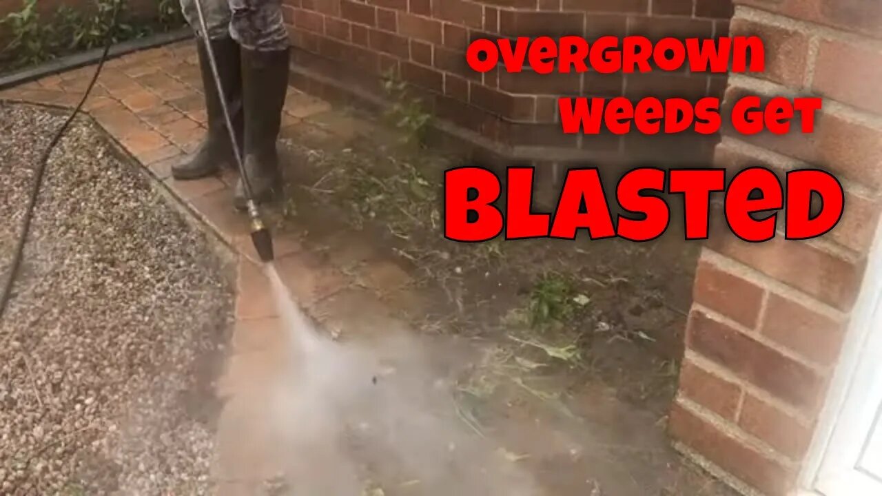 Landlord OUTRAGED 😡 As Previous Renters Leave This Block Paved Driveway A WEEDY, OVERGROWN MESS!!