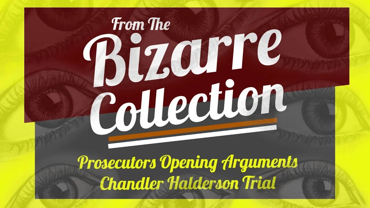 Chandler Halderson Trial Day 1 - Prosecutors opening arguments - not for the faint of heart.