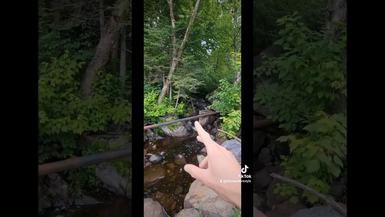 #part2 #storytime #lightworker #discovering #scenery #epicmoment #ytshortscanada #ytshortsvideo
