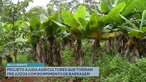 Belo Oriente: Projeto Ajuda Agricultores que Tiveram Prejuízos com o Rompimento de Barragem.