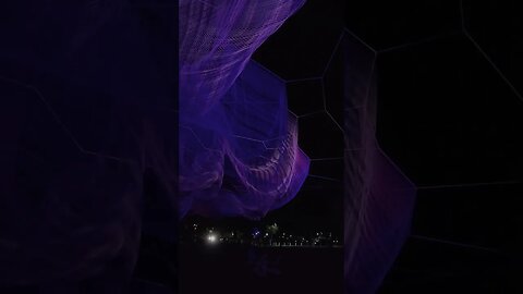 Janet Echelman