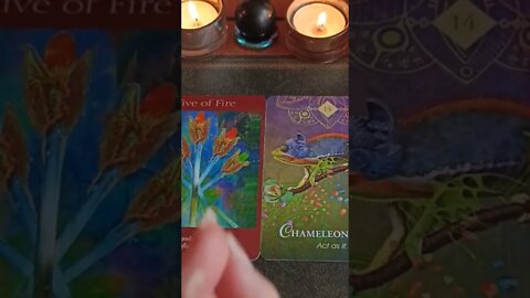 Sunday 29th October 2022 #tarot #sundaytarotmessage #dailytarot