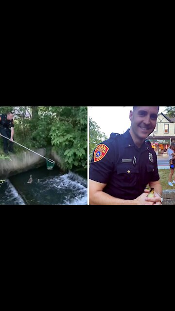 Police officer rescues duckling from a fast-moving creek