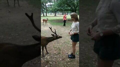 educação não tem espécie