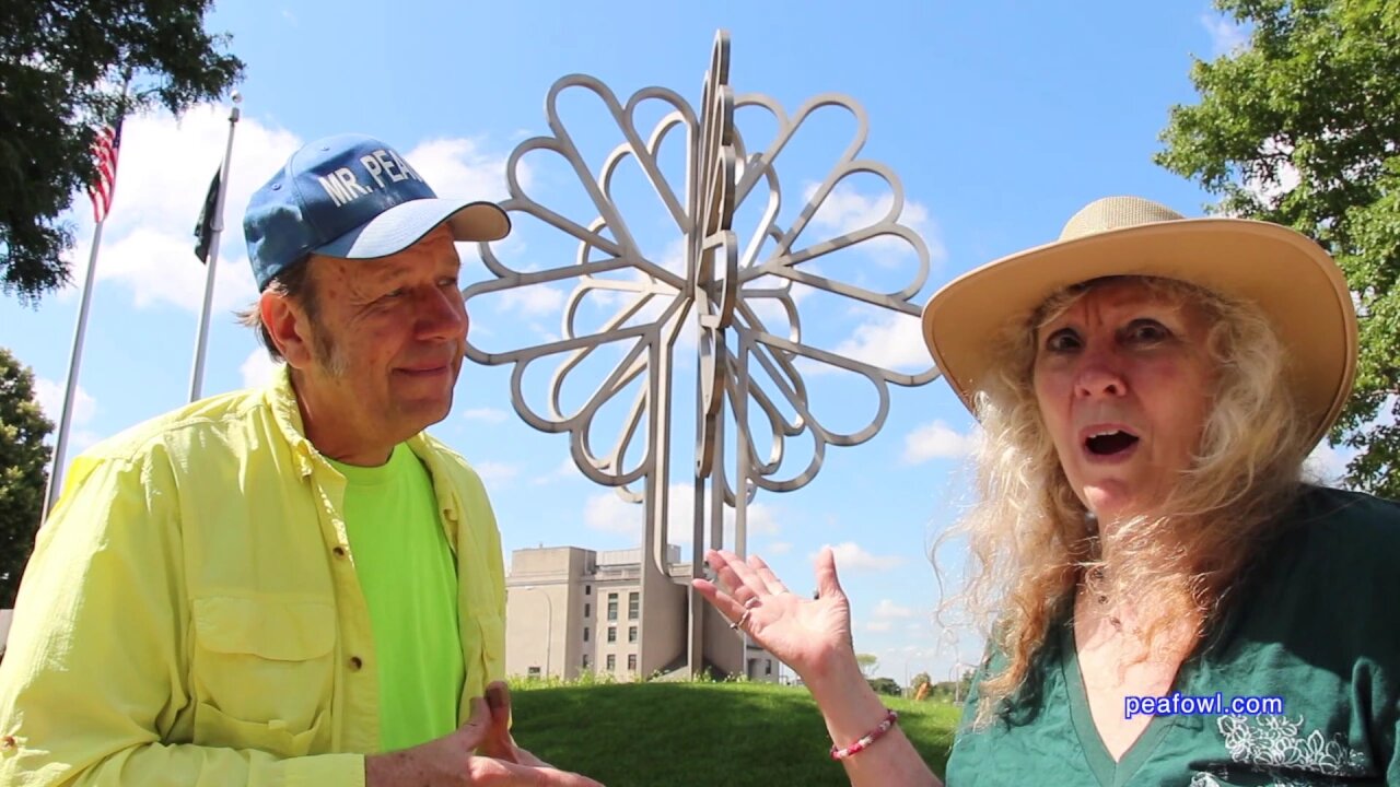 Logo Tree, Cedar Rapids, Ia. Travel USA, Mr. Peacock & Friends, Hidden Treasures