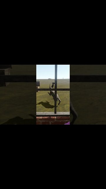 I HATE BUNNIES #thelongdrive #short