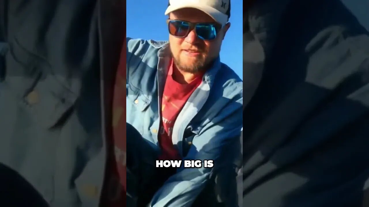 Unbelievable Catch Witness the Epic Battle with a Monster Fish