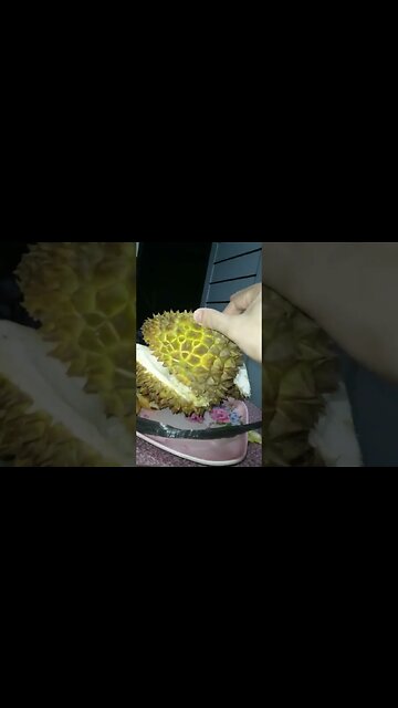Ho provato un frutto che sembra il frutto Gam Gam di One Piece ma si chiama Durian #durian #frutto