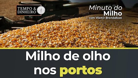 Milho de olho nos portos