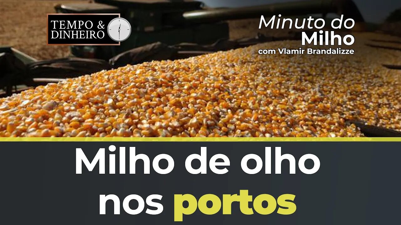 Milho de olho nos portos