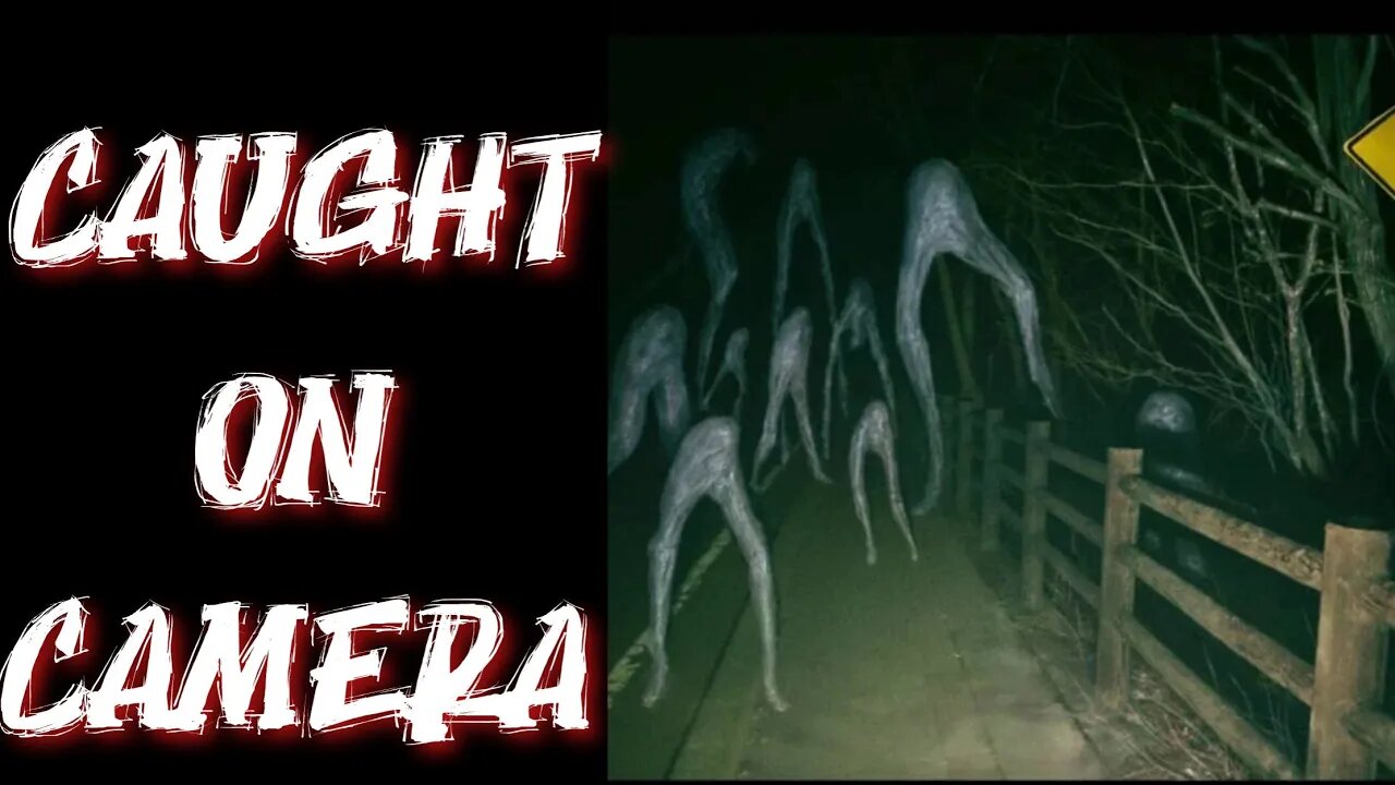 The Truth About the Fresno Nightcrawlers: Fact or Fiction?