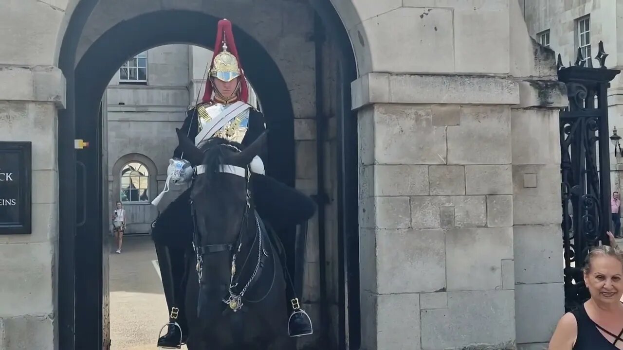 Unpredictable horse stand clear of the kings life guard #horseguardsparade