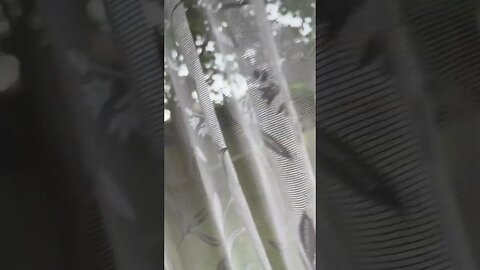 Early evening view from my living room window 🪟 enjoy 😉 and like 👍 and subscribe to my channel