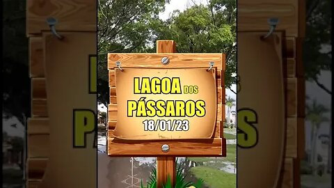 LAGOA DOS PÁSSAROS 18/01/23 #SHORTS