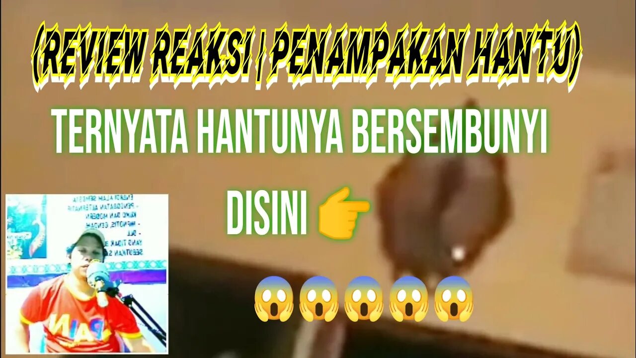 PENAMPAKAN HANTU TERJELAS YANG PINTAR BERSEMBUNYI #review #reaction