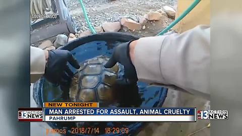 Man accused of drilling holes in tortoise in Pahrump