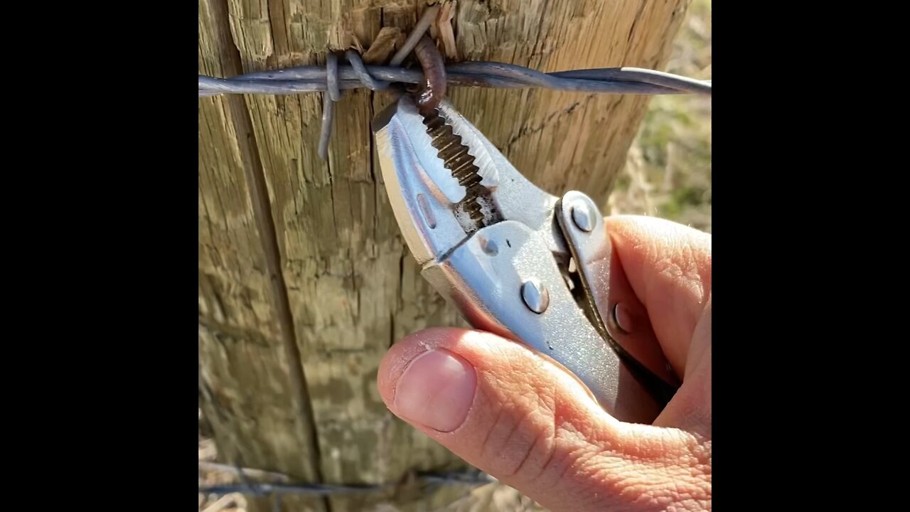 Pocket farm tools for every day carry