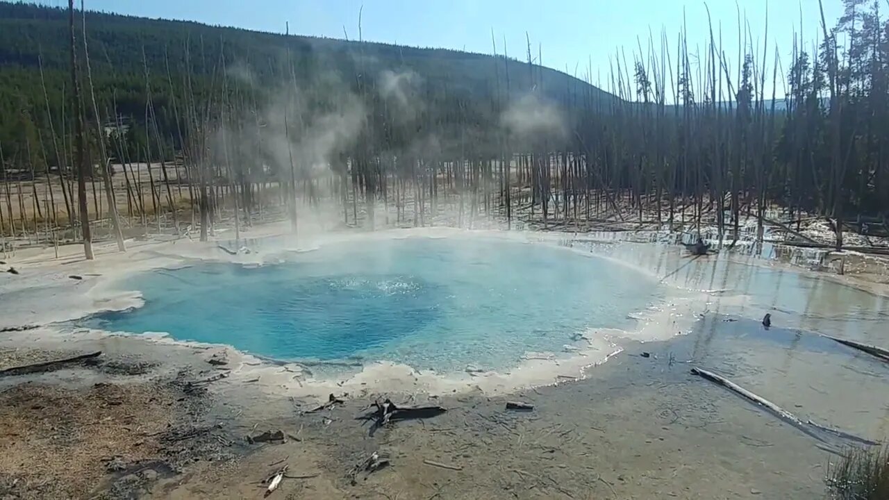 Norris Geyser Basin in Yellowstone