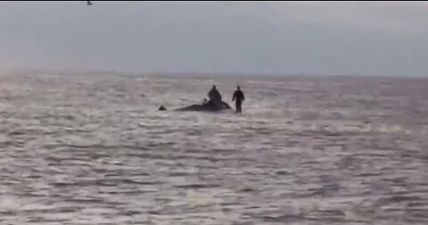 Fisherman find Navy SEALS in water