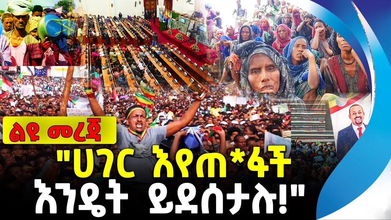 "ሀገር እየጠ*ፋች እንዴት ይደሰታሉ!" | አ ethiopia | addis ababa | amhara | oromoማራ ፋኖ |