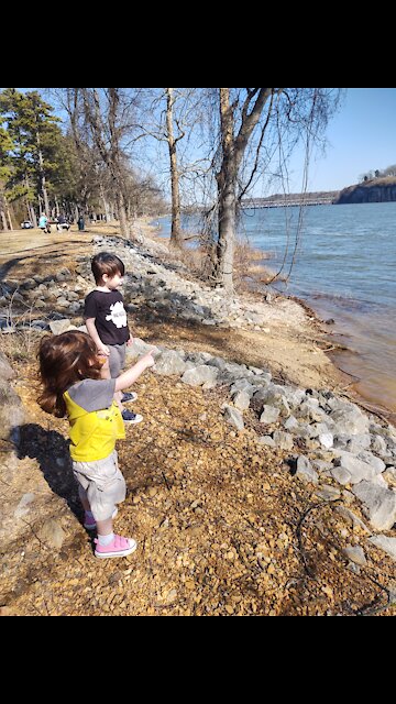 On the banks of the creek