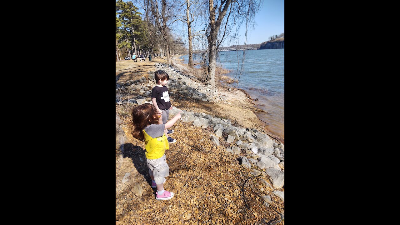 On the banks of the creek