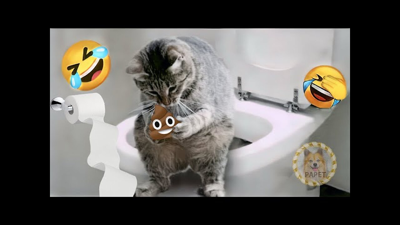New Funniest Animals 2023 😂 Funny Cats and Dogs Videos 😺🐶 Part 1