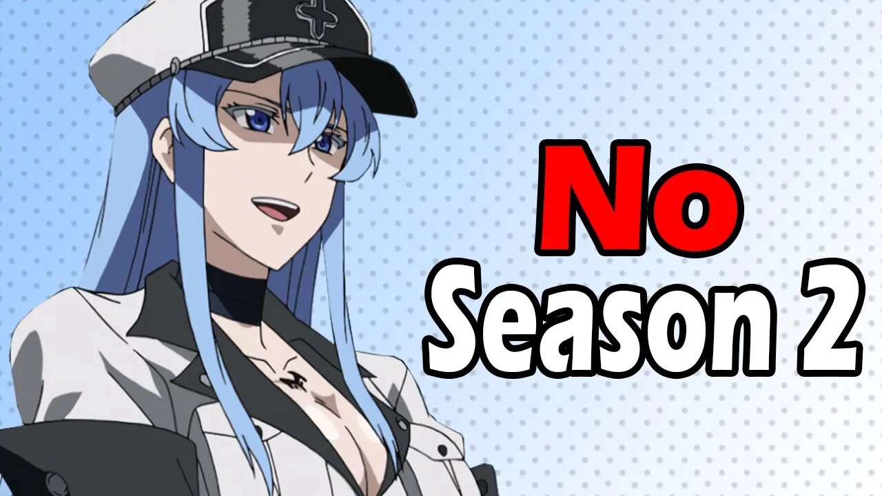 Why Akame Ga Kill Didn't Get a Season 2