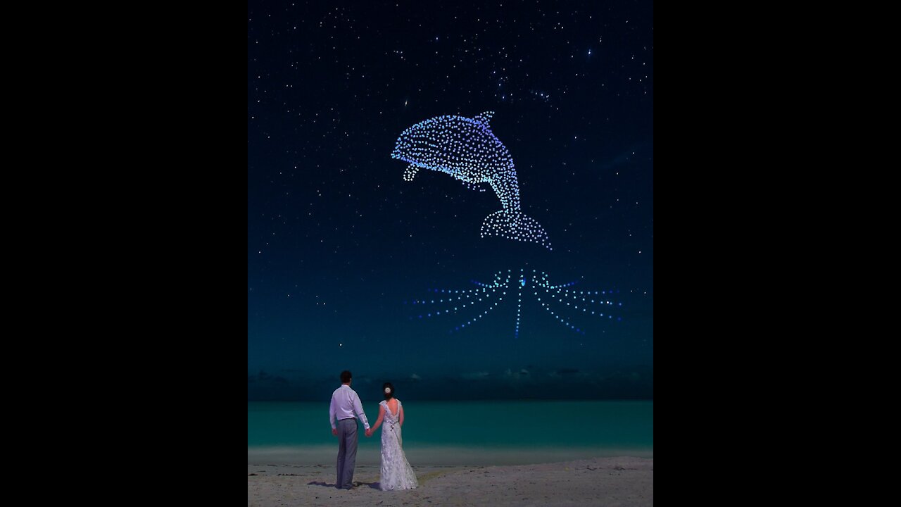Did you know that dolphins can jump straight out of the air?