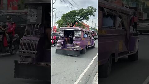 Neverland Jeepney #shortvideo #shortsfeed #shortsvideo #travel #subscribe #viral #shorts #short