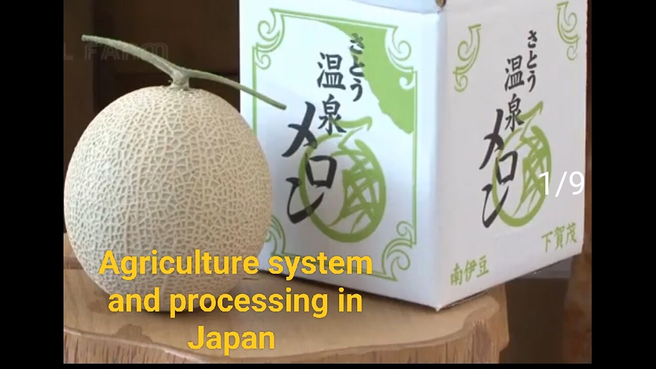 Japanese Agriculture system || processing