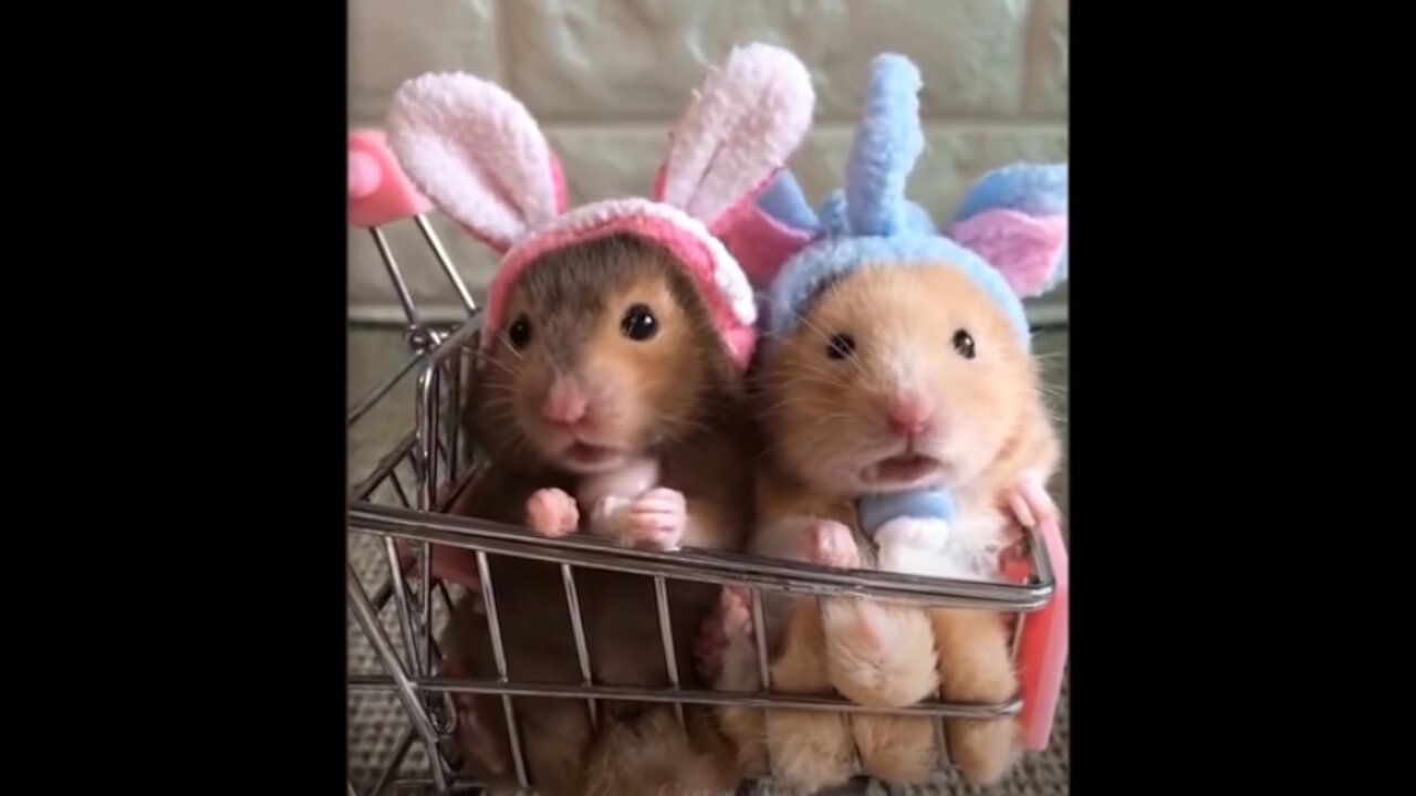 Cute baby pets video compilation | Funny relaxing video of 2021