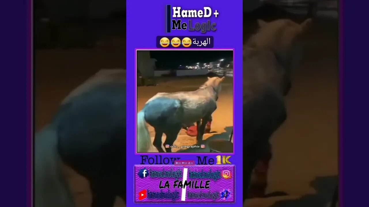 #memes #maroc #memesmaroc #memestiktok #maroc_memes