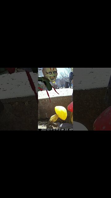 A Creepy Fire Fly Visits #Shorts 😬