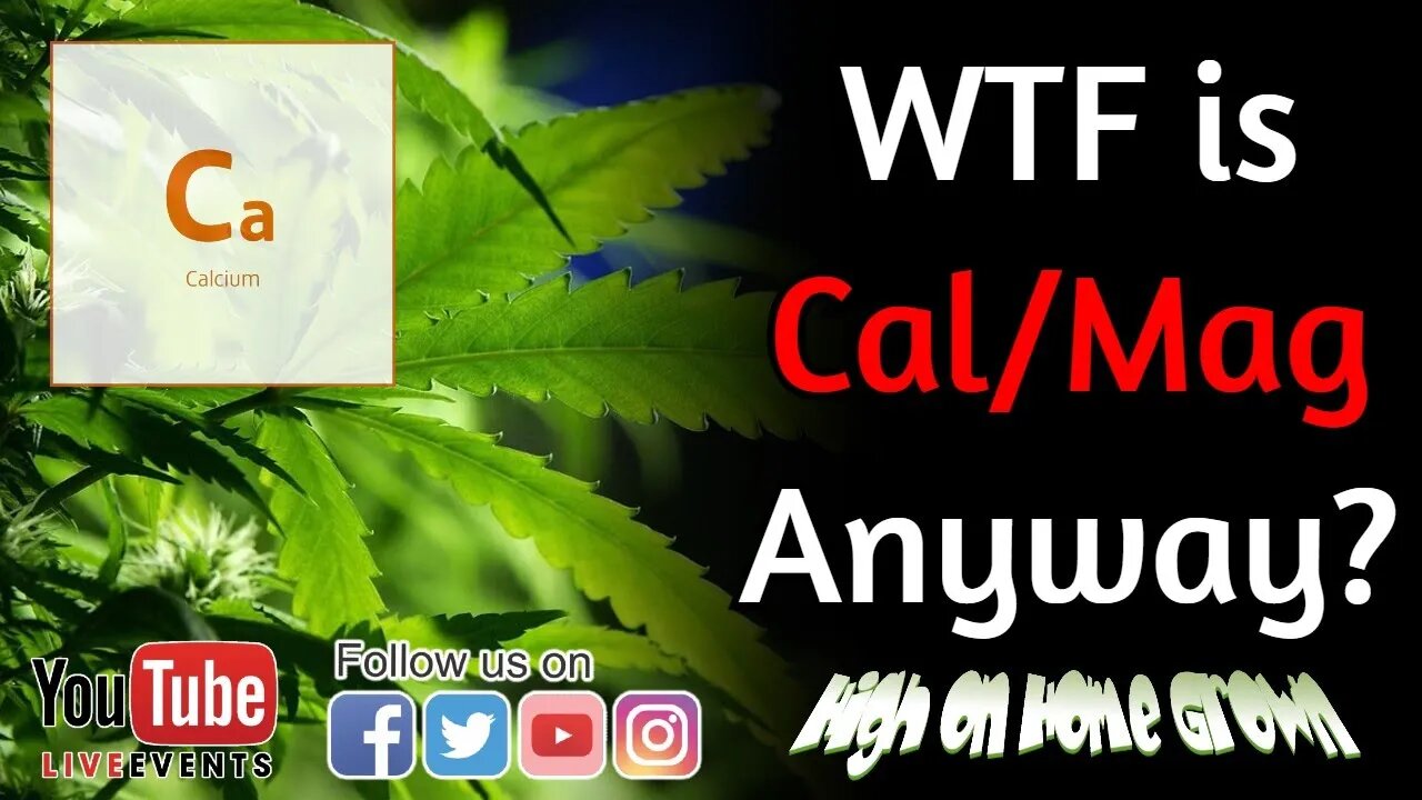 Cal Mag and Cannabis | Cannabis News and Events | @HighonHomeGrown Episode 128