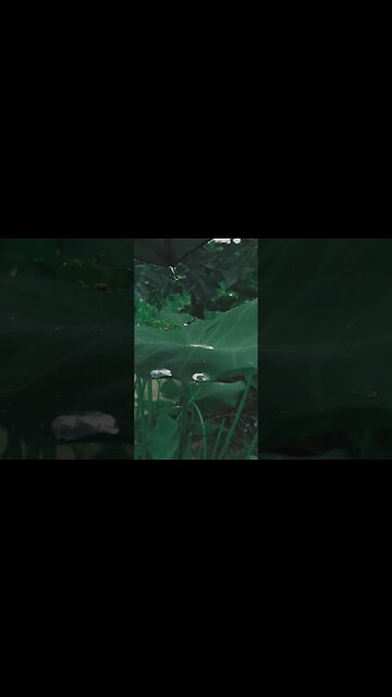 #love #trending #music #bollywood #newsong #india #fashion #photography