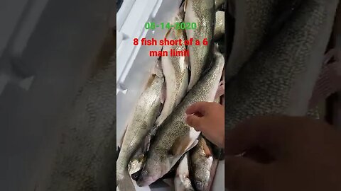 Fire bite early than died by 930a.m. 28 fish, 8 short of our 5 man limit! Walleye were finicky!