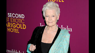 Dame Judi Dench hates the national treasure title