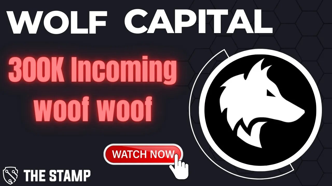 Wolf Capital Update | 300K TVL Incoming WOOF WOOF 🐺