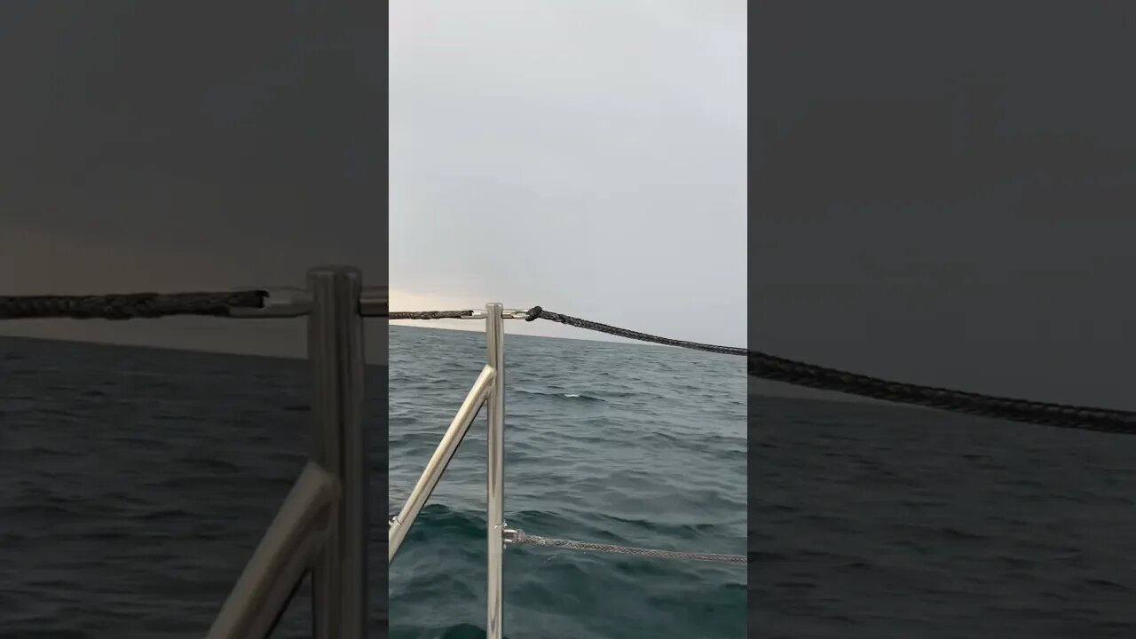 Sailing at 6 knots!