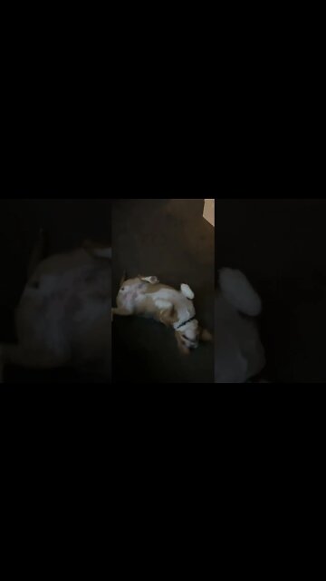 Banchee, What Are You Doing?