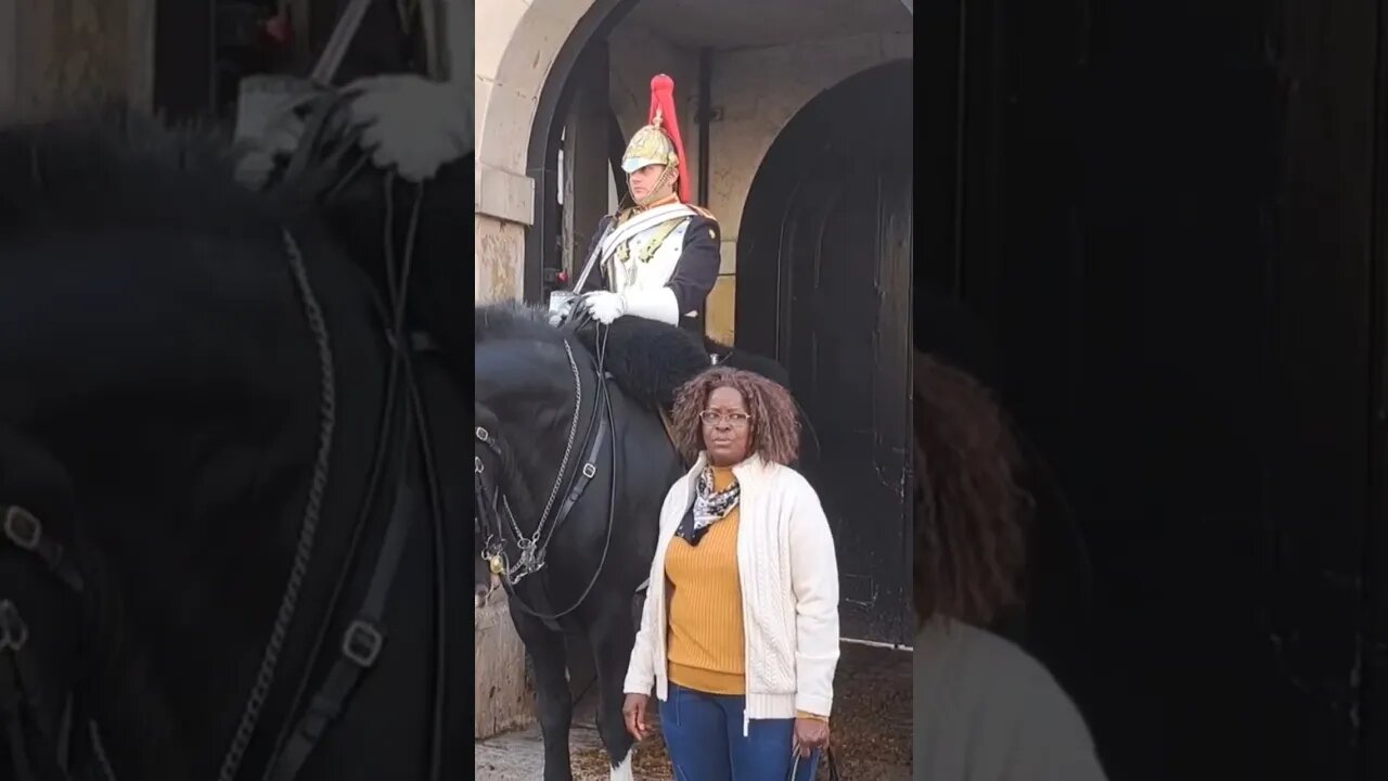 told off for touching the Reins #horseguardsparade