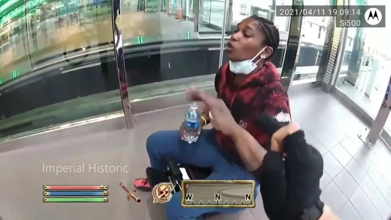 Redguard Skooma Addict on Motor-Suitcase Terrorises Airport - Oblivion NPC