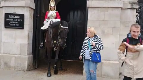 Hores poking the tourist making them laugh #horseguardsparade
