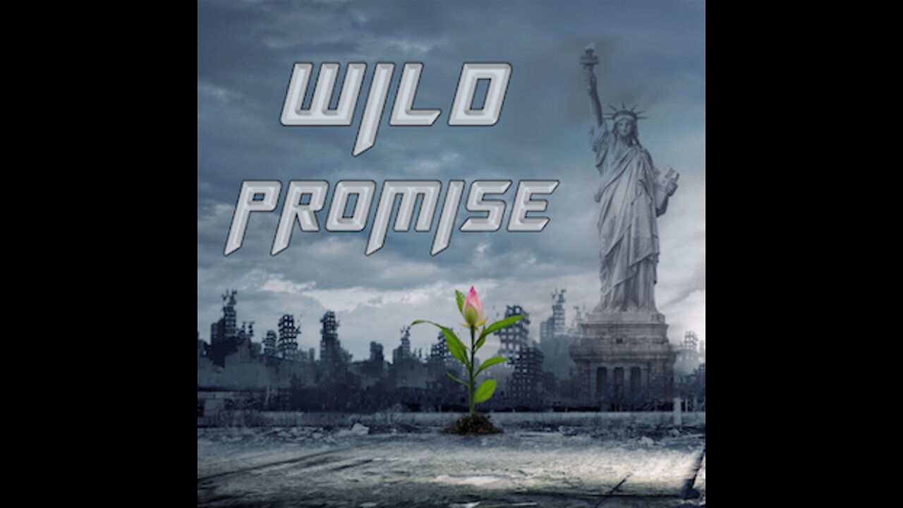 Live From New York, It's The Wild Promise Podcast! Episode 1- The Baby Formula Shortage