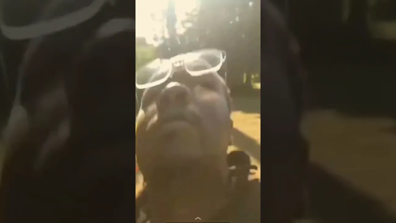 Fights in the hood. #fighter #worldstar #hoodfights #vlog #womenartists #blog #box #hilarious