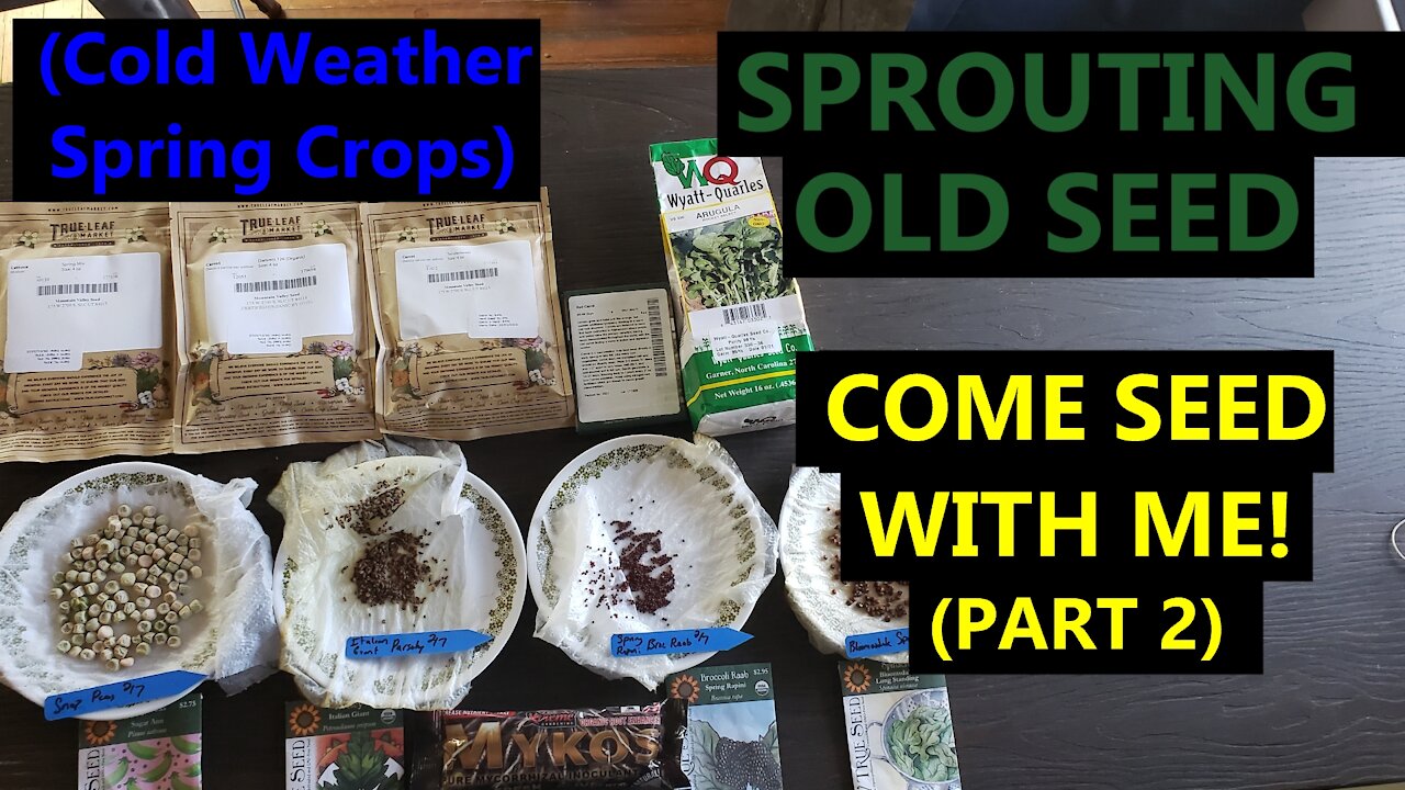 Come Seed With Me (Part 2!) | Cold Weather Spring Seeding | Hedging Bets by Soaking Old Seeds